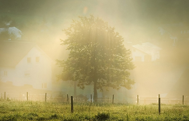 信息轰炸在线使用免费