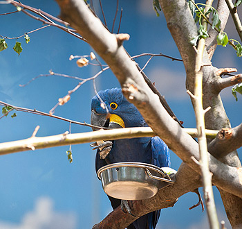 骚扰电话呼叫软件