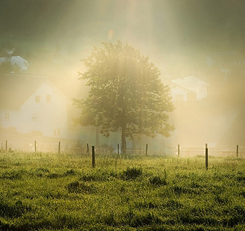 骚扰电话呼叫软件
