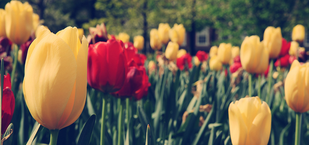 性价比最高的在线呼死你