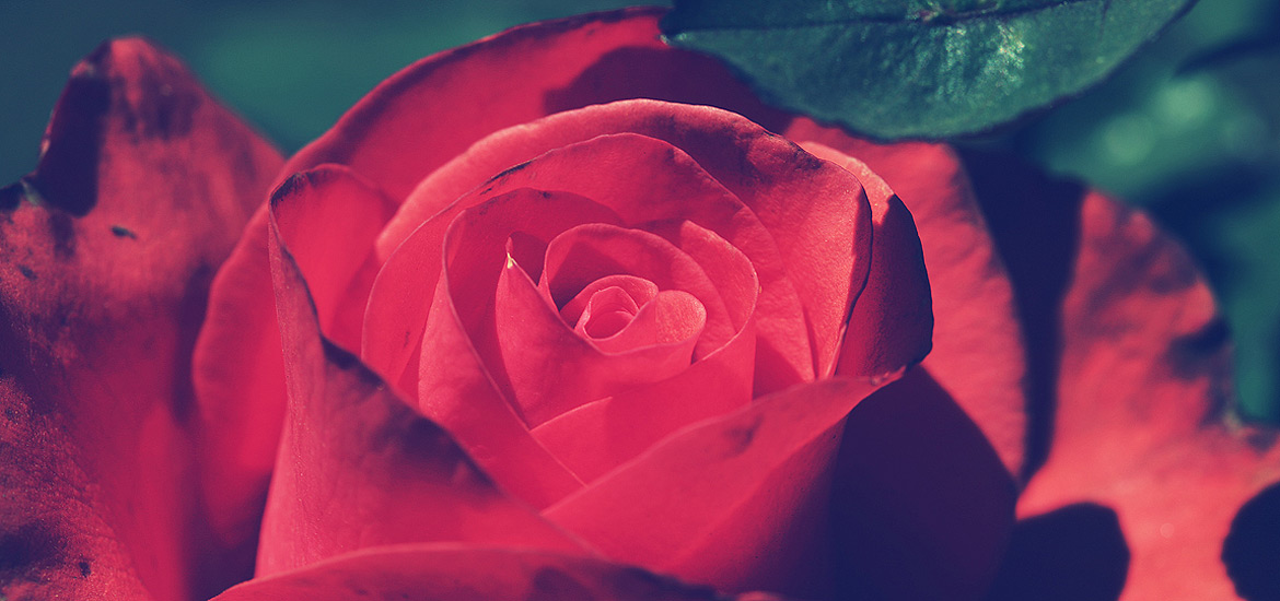 云呼手机号测压网页版